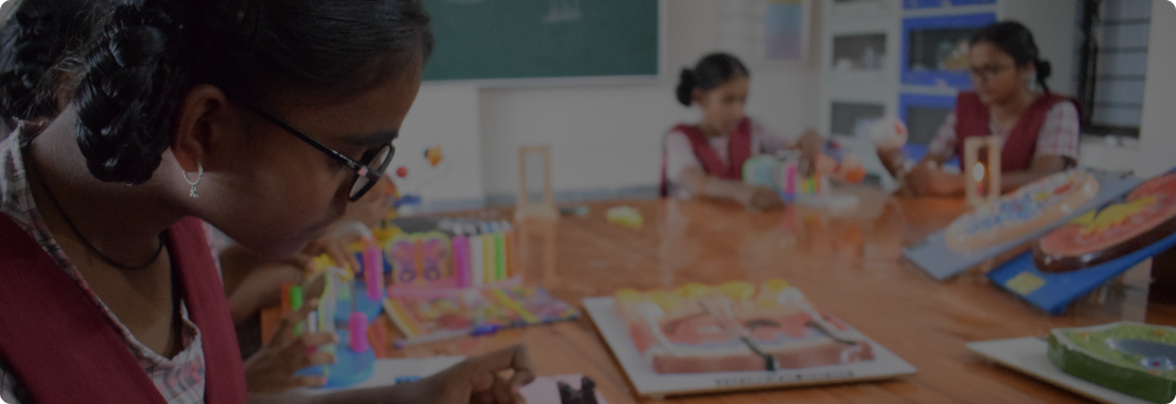 STEM Labs/Robotics Program